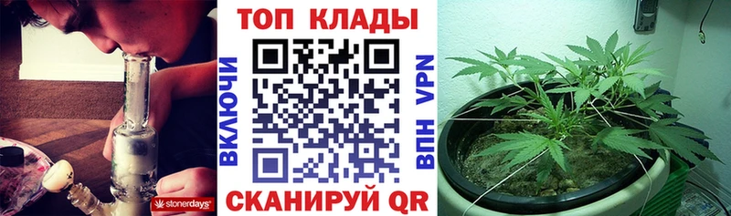 Купить закладку Урюпинск Марихуана  Alpha PVP  Псилоцибиновые грибы  Меф 