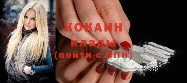 тгк Алзамай