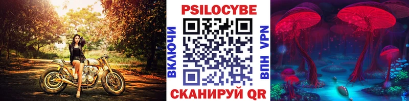 Галлюциногенные грибы Psilocybine cubensis  Урюпинск 