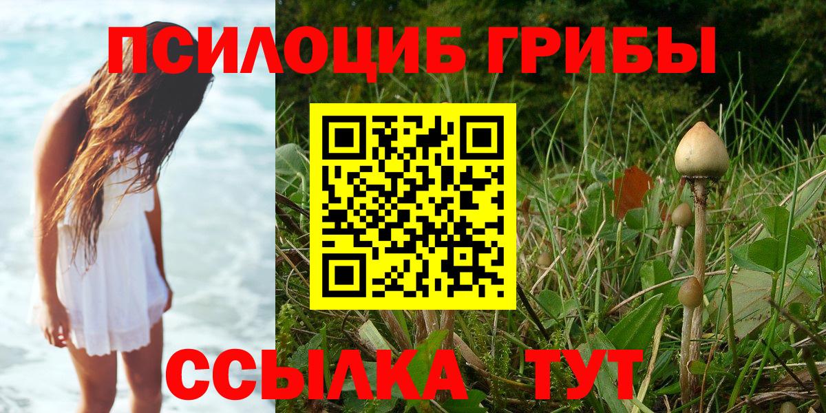 Галлюциногенные грибы GOLDEN TEACHER Урюпинск