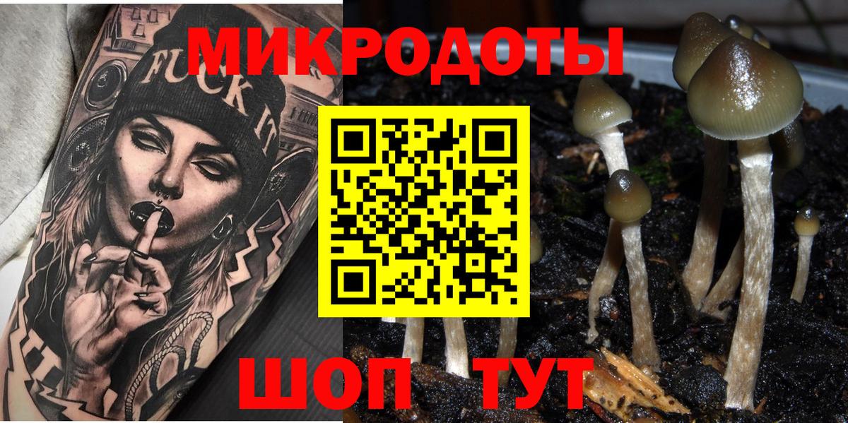 Урюпинск  Псилоцибиновые грибы GOLDEN TEACHER  Вход с VPN 